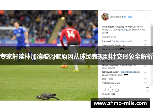 专家解读林加德被调侃原因从球场表现到社交形象全解析